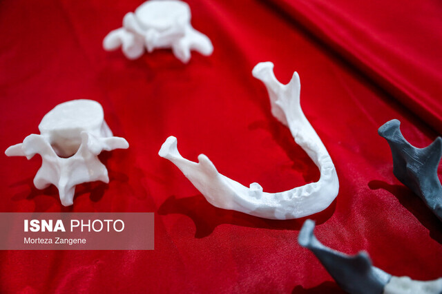 پول صندلی را جدا میدهیم، اجاره جدا/ معافیت مالیاتی شرکتهای دانشبنیان، یک شوخی است