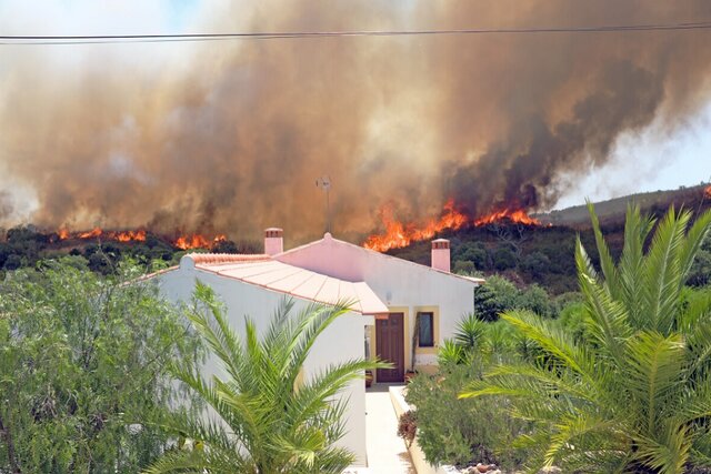 ایرادات استراتژی یونان در مهار جنگلسوزیها/ روش پیشگیرانه پرتغال کارساز شد