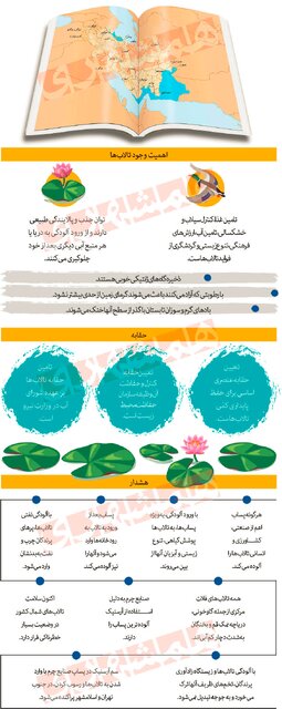 چند نکته مهم درباره تالاب‌های ایران