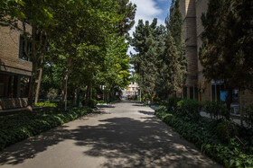 آغاز طرح «خوابگاه دوستدار محیط زیست»