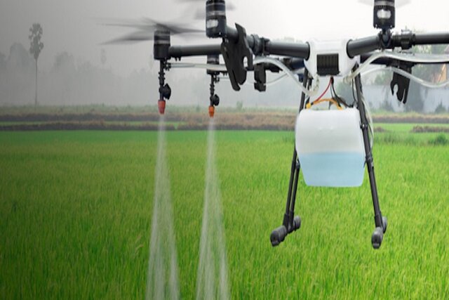 شکار پشهها با کمک یک اپلیکیشن تلفن همراه!