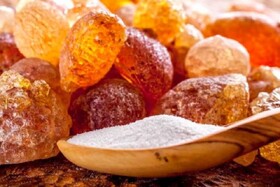 منفی شدن تراز تجاری کشور در پرمصرف‌ترین اقلام صنایع غذایی/اجرای ۱۱ طرح تحقیقاتی در حوزه صمغ‌