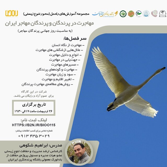 کارگاه «مهاجرت و پرندگان مهاجر ایران» برگزار میشود