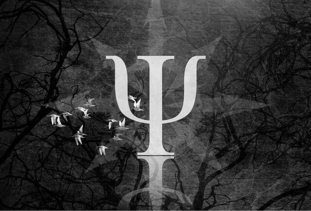 جلسه نگرش فیزیکی و فلسفی درباره تابع موج برگزار می‌شود