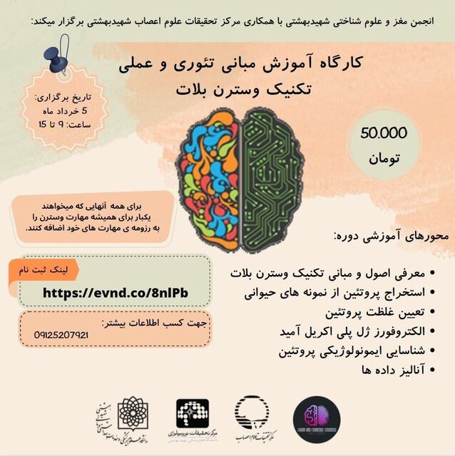 کارگاه «آشنایی با مبانی تئوری و عملی تکنیک وسترن بلات» برگزار میشود