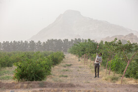 آلودگی شدید هوا در قم