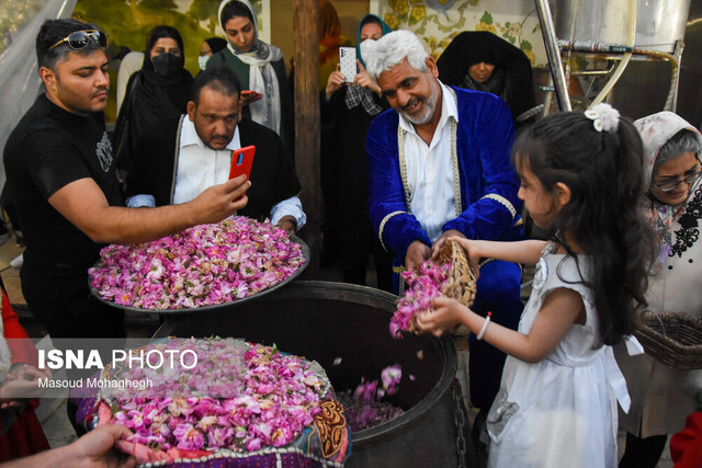 پیچش عطر گلاب و گل محمدی در شهرستان شفت/ استحصال ۴ هزار لیتر گلاب
