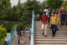 ترویج فرهنگ کار، کم‌کاری در میان جوانان از بین می‌برد