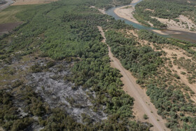 حریق در جنگلهای کرخه