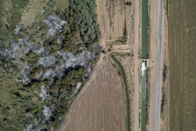 حریق در جنگلهای کرخه