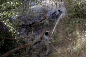 حریق در جنگلهای کرخه