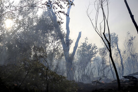 حریق در جنگلهای کرخه