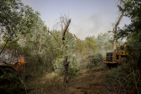 حریق در جنگلهای کرخه