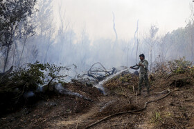 حریق در جنگلهای کرخه