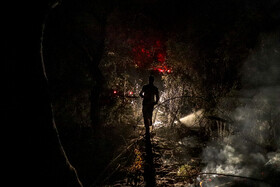 حریق در جنگلهای کرخه