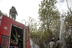 حریق در جنگلهای کرخه