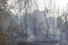 حریق در جنگلهای کرخه