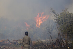 حریق در جنگلهای کرخه