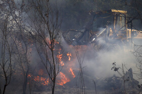 حریق در جنگلهای کرخه