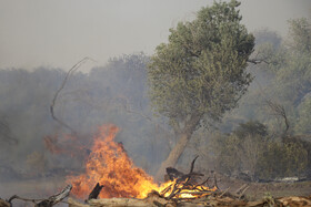 حریق در جنگلهای کرخه
