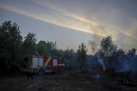 حریق در جنگلهای کرخه