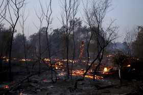 حریق در جنگلهای کرخه