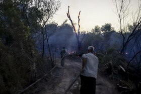 حریق در جنگلهای کرخه