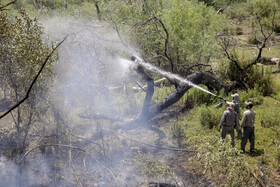 حریق در جنگلهای کرخه