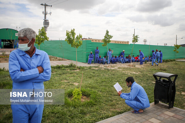 معجزه بهزیستی با «نان» و «پنیر» برای نگهداری معتادان