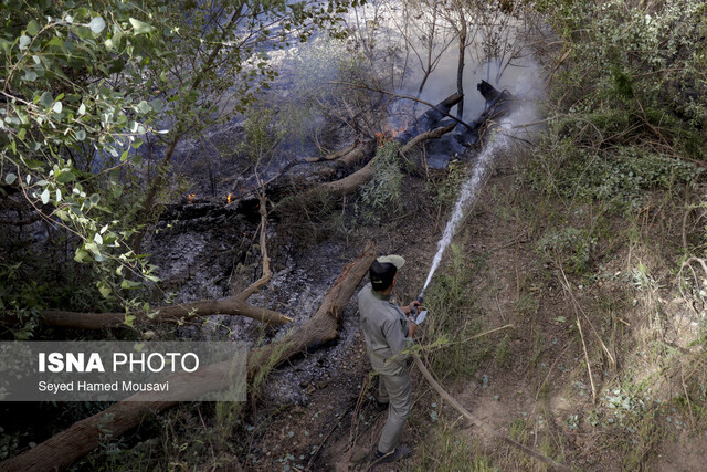 عکس آرشیوی است. حریق ٨٠ هکتار از اراضی جنگل گلستان/ نجات جنگل با ٥ سورتی در ٦ ساعت پرواز