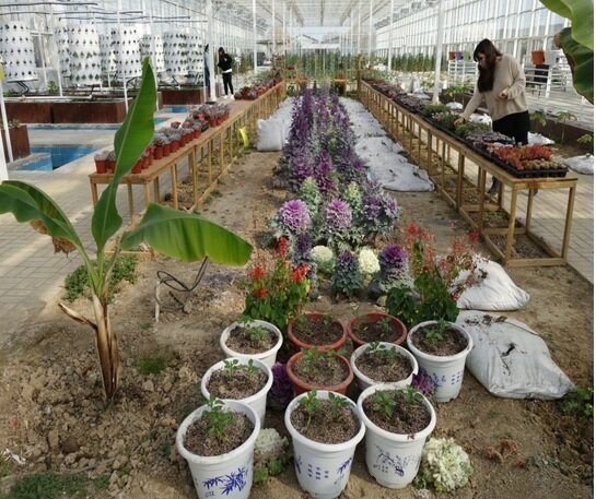 تغییر الگوی کشاورزی تا ۵۰ سال آینده به دلیل تغییر اقلیم/ازمزرعه مهدکودکها تا باغچههای پیروزی