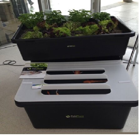 تغییر الگوی کشاورزی تا ۵۰ سال آینده به دلیل تغییر اقلیم/ازمزرعه مهدکودکها تا باغچههای پیروزی