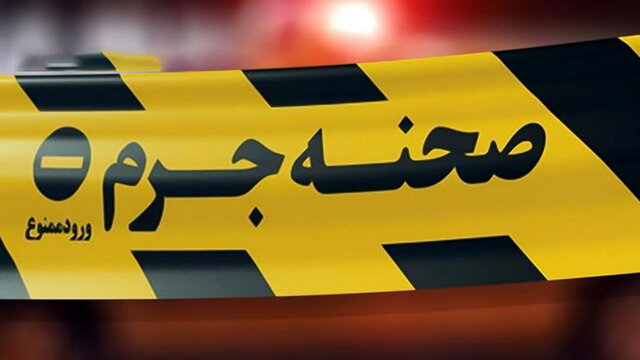 قتل مادربزرگ با ضربات مشت قتل مادربزرگ با ضربات مشت