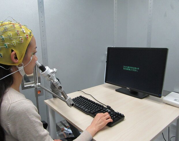 بوها چگونه در مغز پردازش میشوند؟