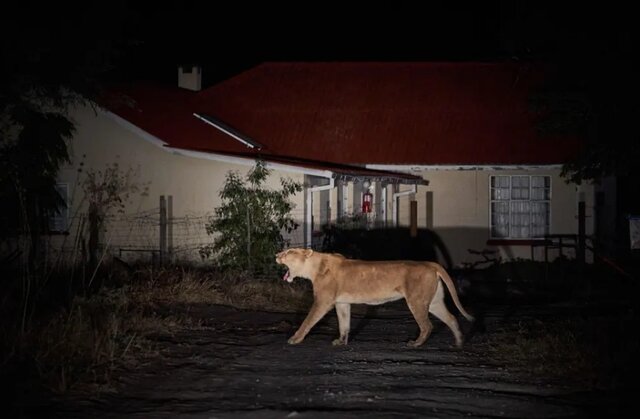 جهان به روایت عکس های منتخب گاردین