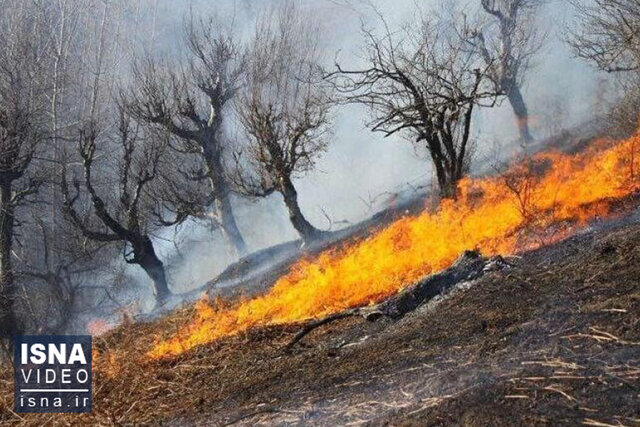 ویدئو / آتش در جنگل‌های نورستان شرقی افغانستان