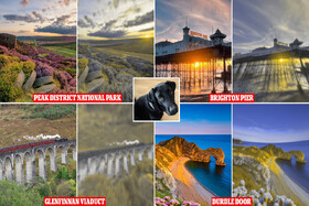 سگ‌ها جهان را چگونه می‌بینند؟