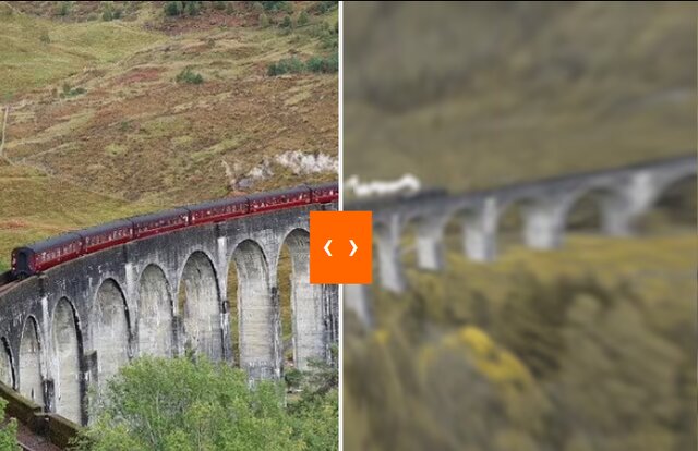 سگها جهان را چگونه میبینند؟