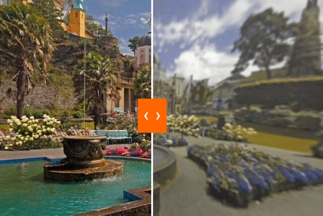 سگها جهان را چگونه میبینند؟