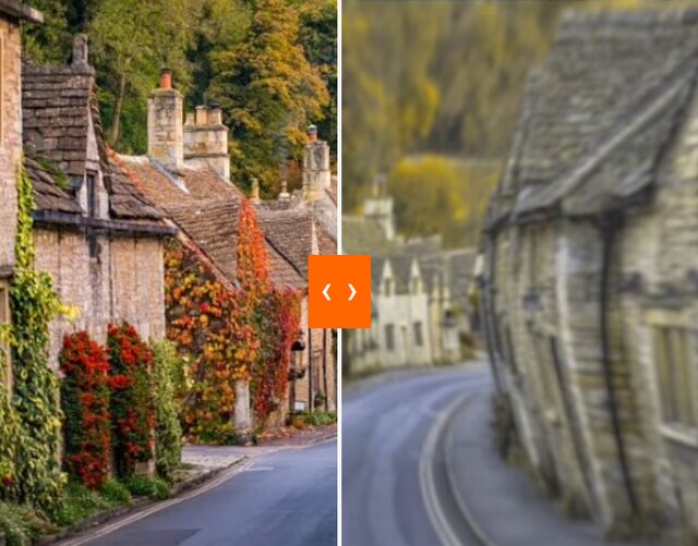 سگها جهان را چگونه میبینند؟