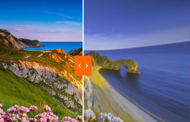 سگها جهان را چگونه میبینند؟