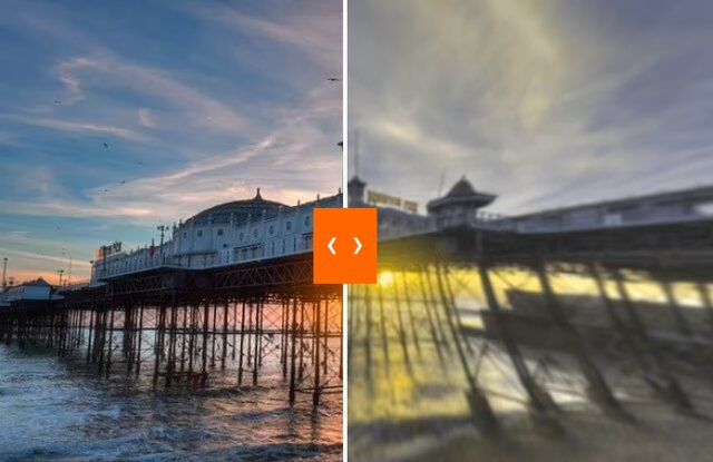 سگها جهان را چگونه میبینند؟