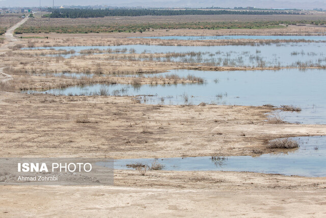 یک لیوان آب، یک شعله چراغ یک لیوان آب، یک شعله چراغ