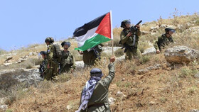 درخواست سناتورهای آمریکایی برای مقابله با اخلالگران در اجرای راهکار "دو کشوری"