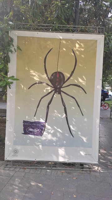 ماجرای «عنکبوت مقدس» به بلوار کشاورز کشیده شد