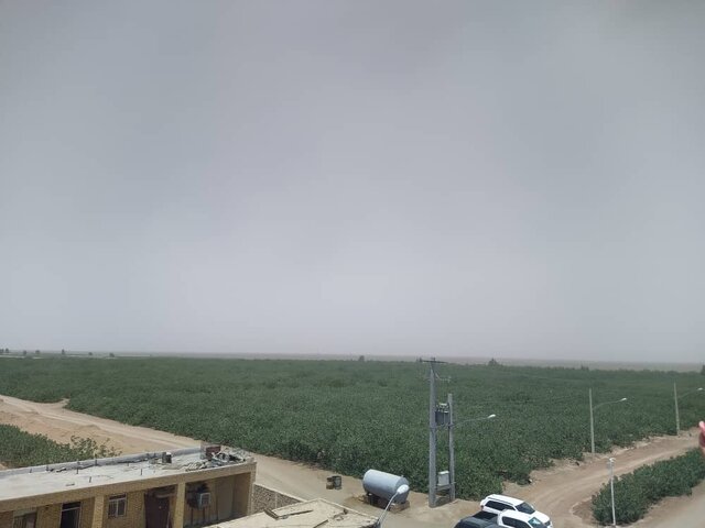 شیرینیهای بیابانزدایی؛ جلوگیری از خیزش گرد و خاک تا کمک به سرسبزی باغها