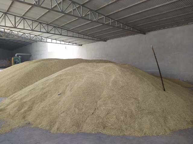 شیرینیهای بیابانزدایی؛ جلوگیری از خیزش گرد و خاک تا کمک به سرسبزی باغها