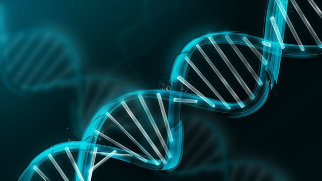 اصول ویرایش ژنومی و طراحی sgRNA