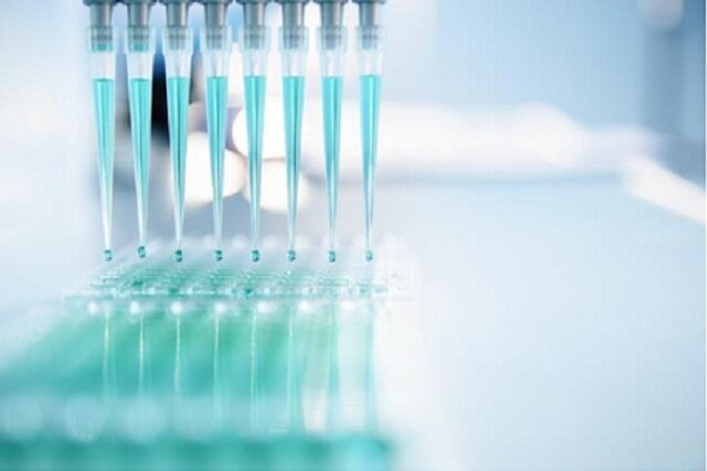 عکس تزئینی است تولید کیت تشخیص «تب برفکی» با فناوری «کریسپر» در مقیاس آزمایشگاهی