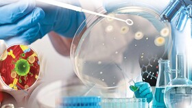 وبینار «معرفی گرایش‌های ارشد بیوتکنولوژی» برگزار می شود